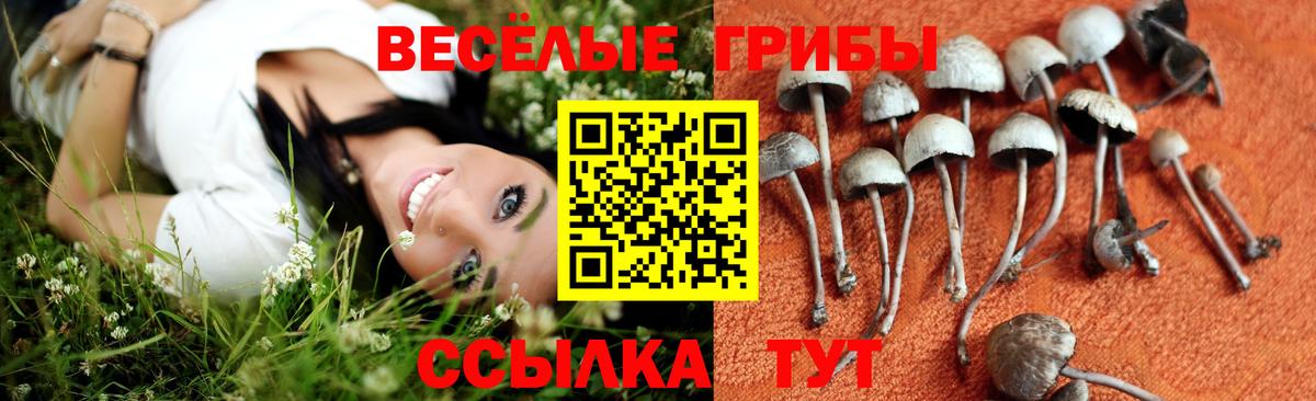 Псилоцибиновые грибы прущие грибы  Галлюциногенные грибы прущие грибы  Вход с VPN  Россия 